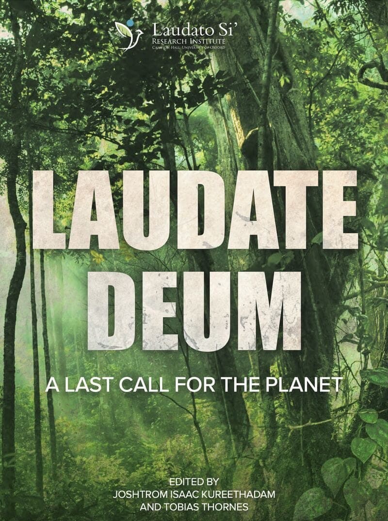 Cover of Laudate Deum: A Last Call for the Planet